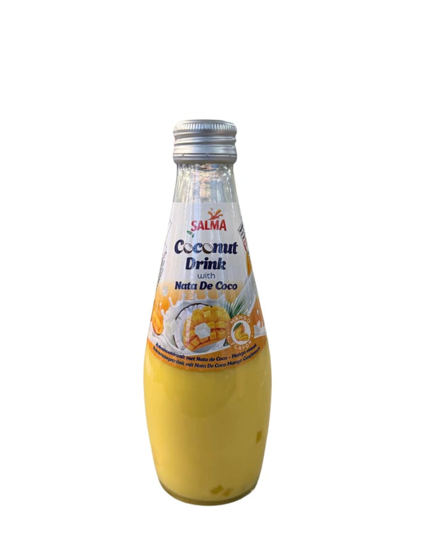 7523 Salma Mango & Nata De Coco 24x290ml - 14